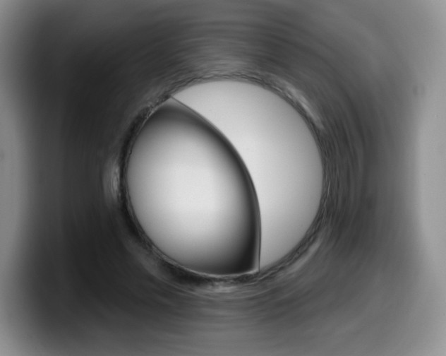 X0000099480589200805090835