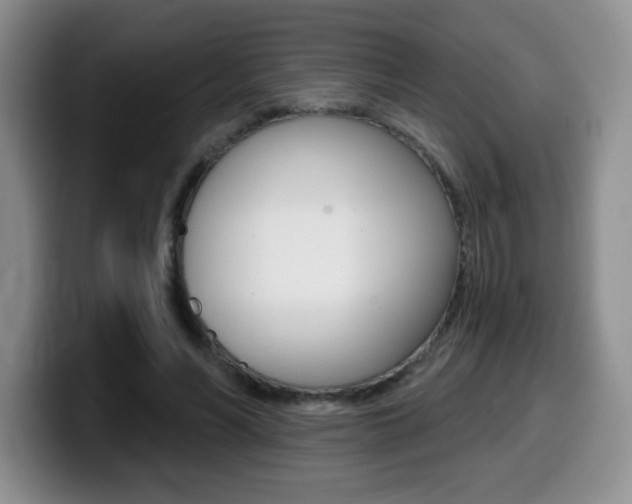 X0000099480590200805090835