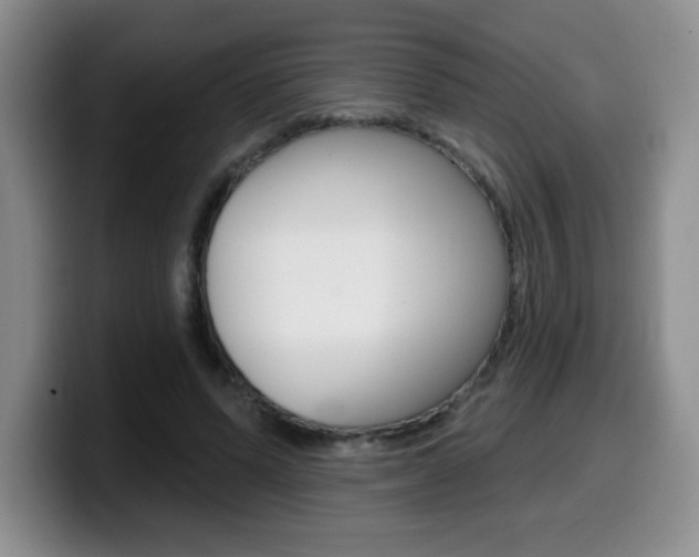 X0000099480591200805090835