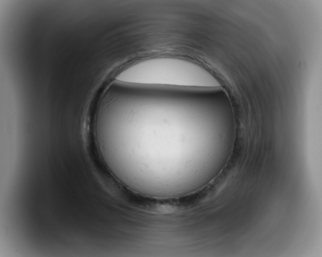 X0000099480592200805090835