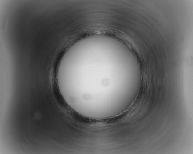X0000099480594200805090835
