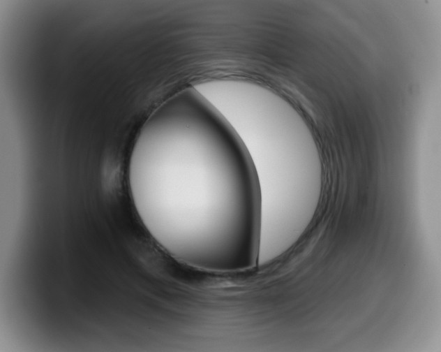 X0000099480597200805090835