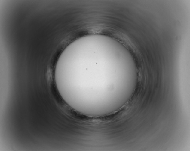 X0000099480598200805090835