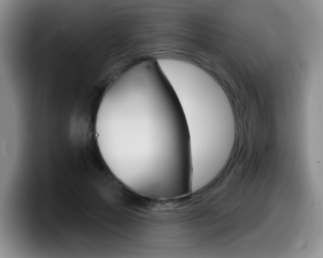 X0000099480599200805090835