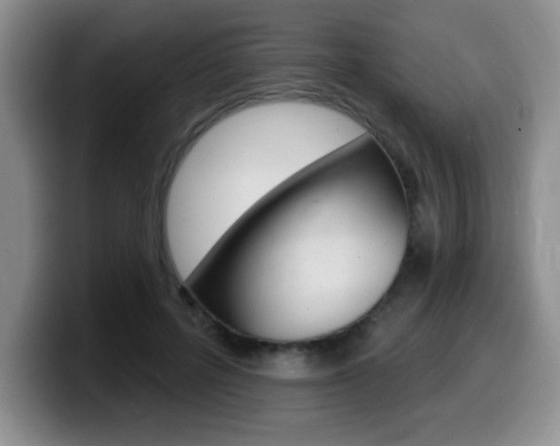 X0000099480600200805090835