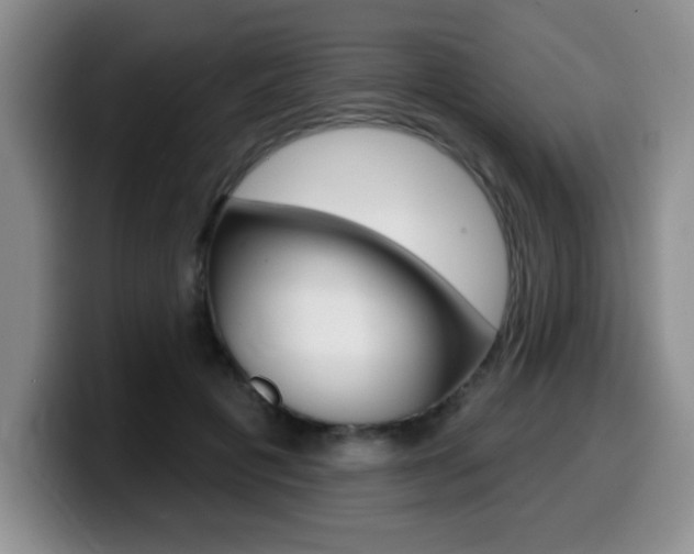 X0000099480601200805090835