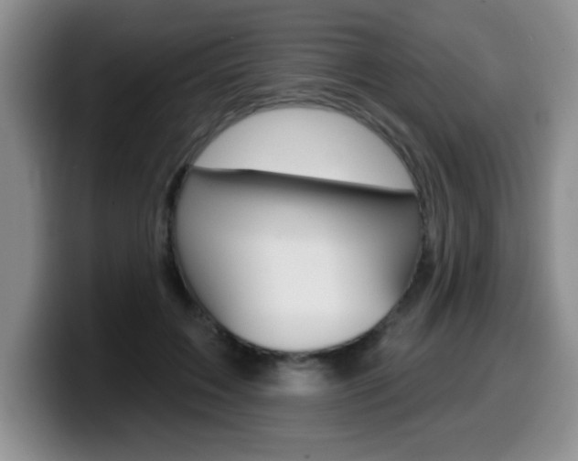 X0000099480603200805090835