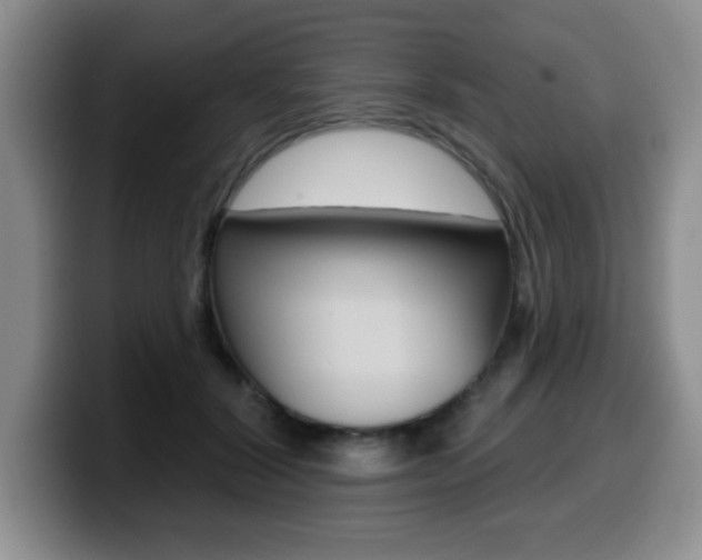 X0000099480604200805090835