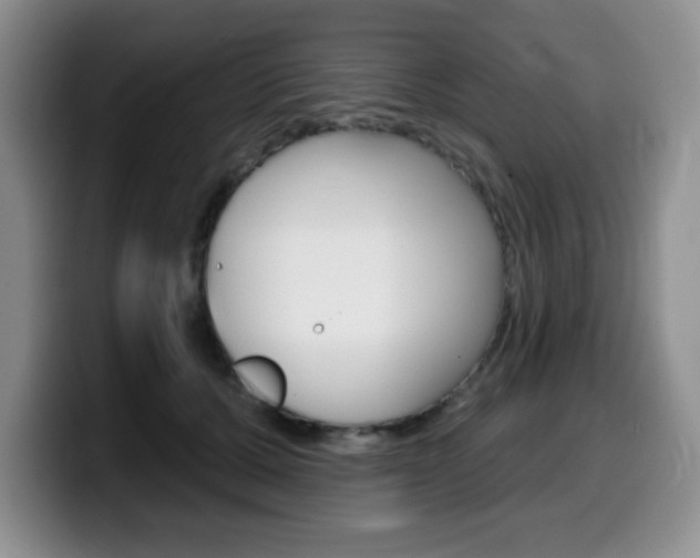 X0000099480607200805090835