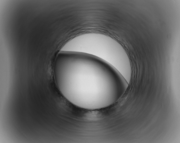 X0000099480609200805090835