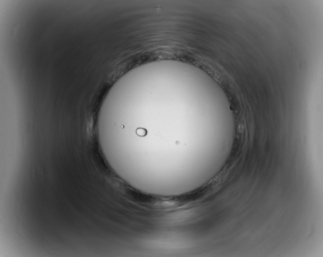 X0000099480610200805090835