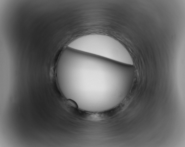 X0000099480611200805090835