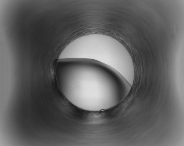 X0000099480613200805090834