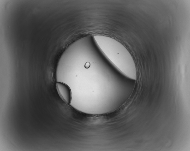 X0000099480615200805090834
