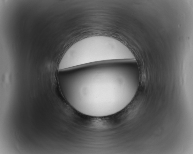 X0000099480616200805090834