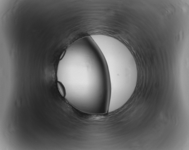 X0000099480617200805090834