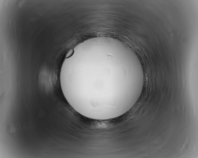 X0000099480618200805090834