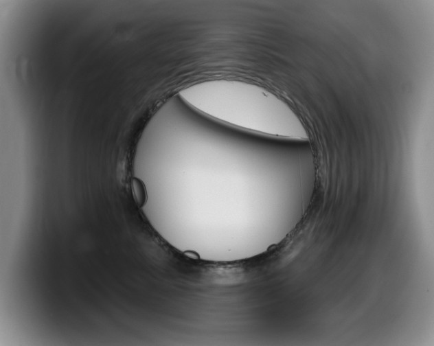 X0000099480619200805090834