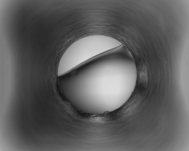 X0000099480620200805090834