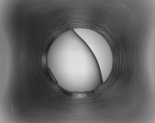 X0000099480621200805090834