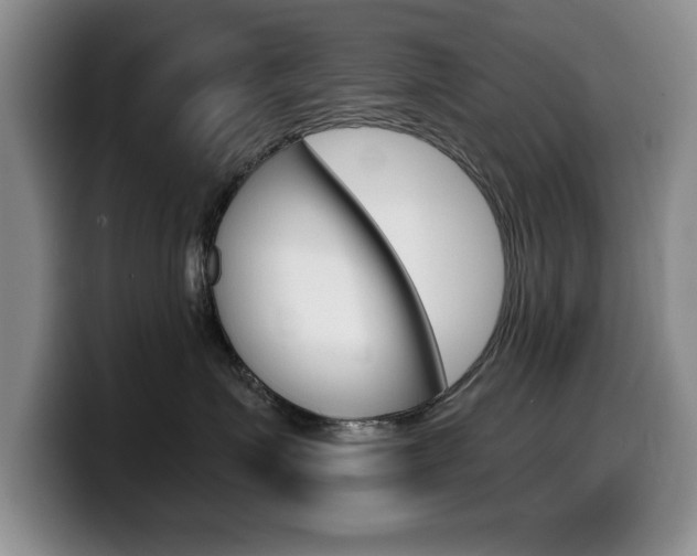 X0000099480623200805090834
