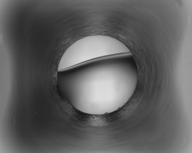 X0000099480624200805090834
