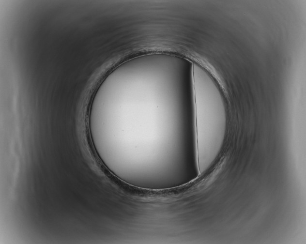 X0000099480625200805090834