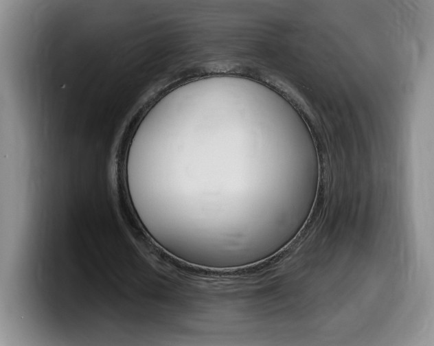 X0000099480626200805090834