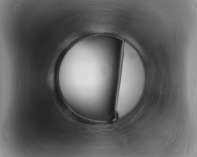 X0000099480627200805090834