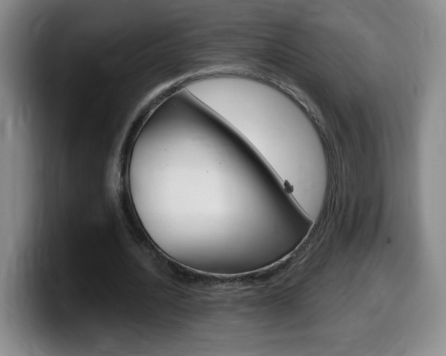 X0000099480628200805090834