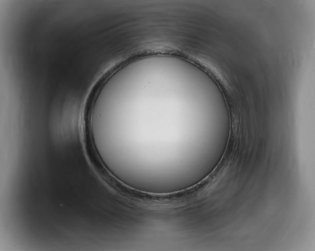 X0000099480630200805090834