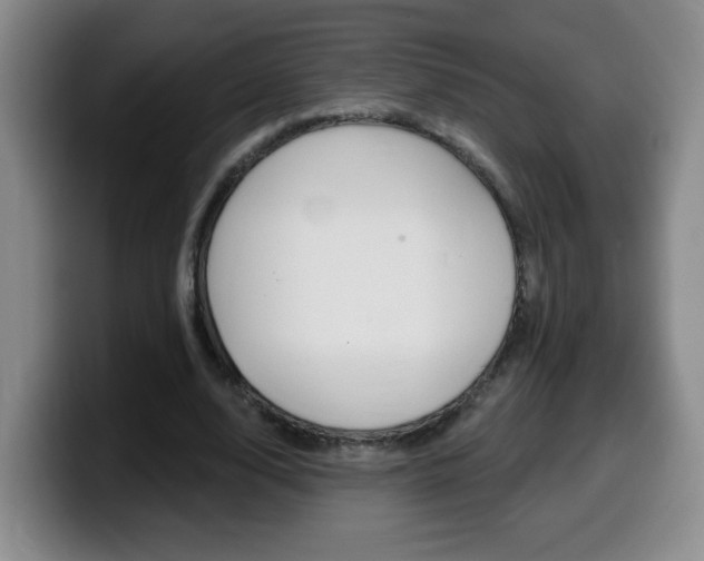 X0000099480632200805090834