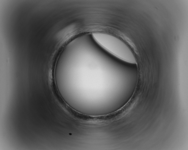 X0000099480633200805090834