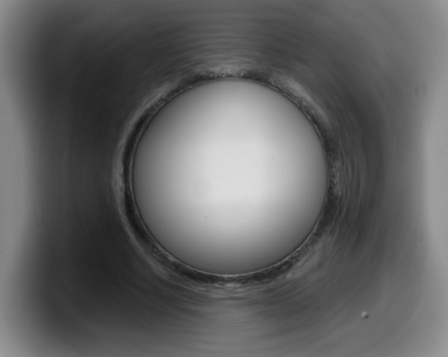 X0000099480634200805090834
