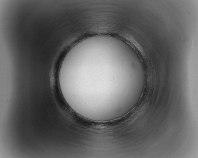 X0000099480635200805090834