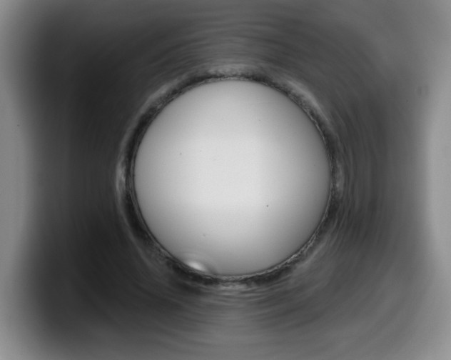 X0000099480636200805090834