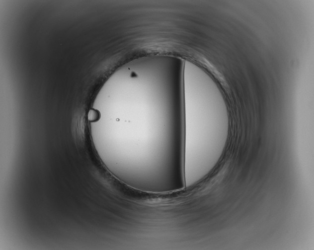 X0000099480637200805090834