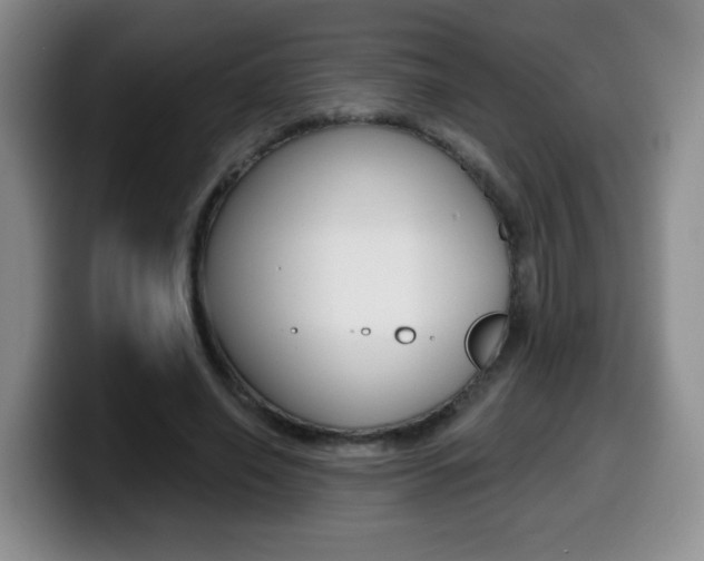 X0000099480638200805090834