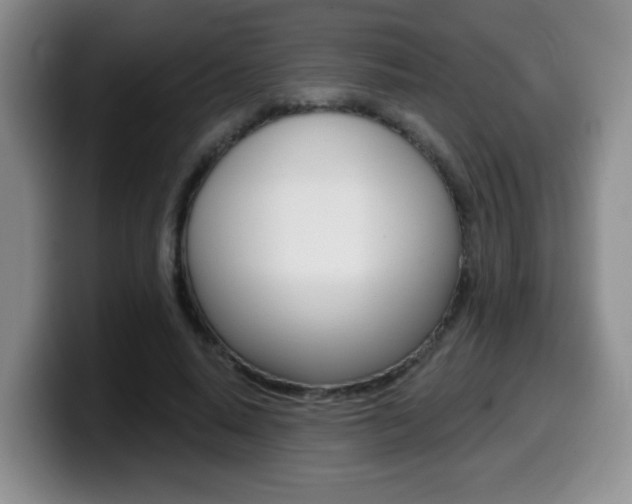 X0000099480640200805090834