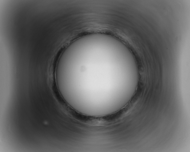 X0000099480642200805090834