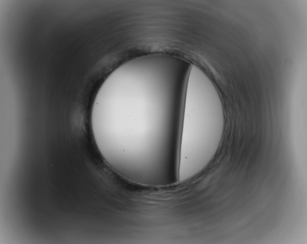 X0000099480643200805090834