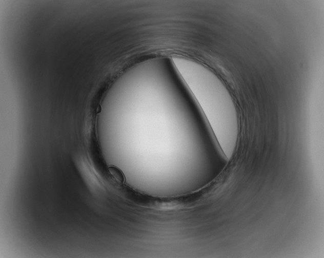 X0000099480645200805090834