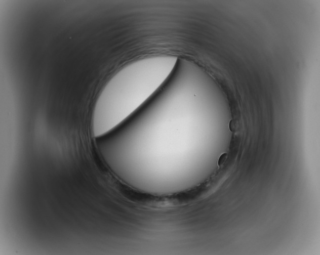 X0000099480646200805090834