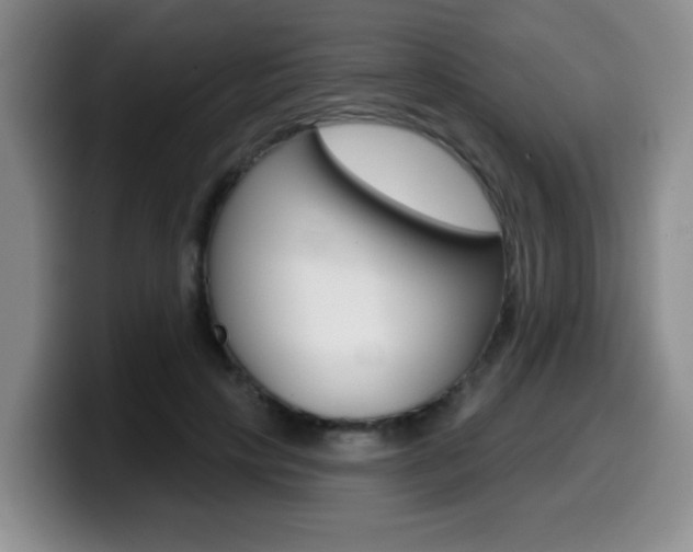 X0000099480649200805090834