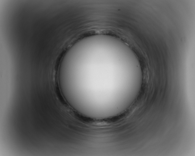 X0000099480650200805090834