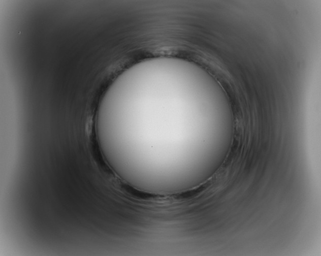 X0000099480652200805090834