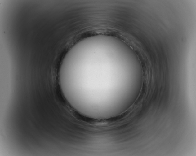 X0000099480653200805090834
