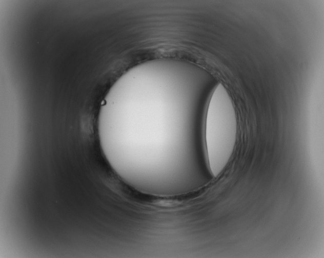 X0000099480654200805090834