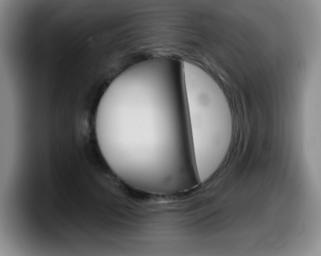 X0000099480655200805090834