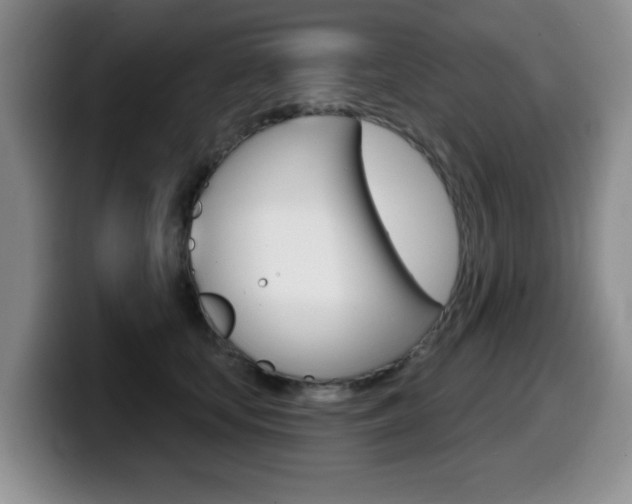 X0000099480659200805090834